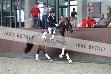 181852_mtp_05_R62_3228.JPG