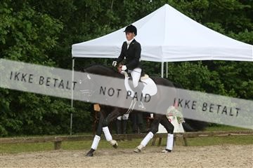 135518_ms_01_IMG_1327.JPG