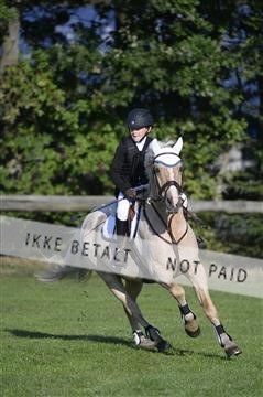 144548_abo_01__ab12754.JPG