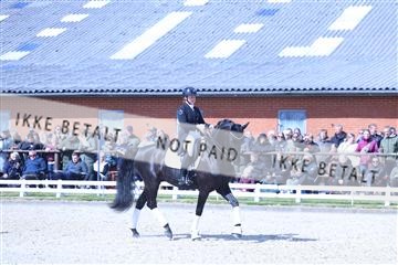 174513_jss_01_R6II8134.JPG