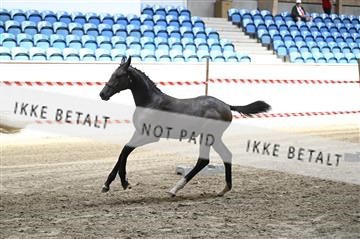 181754_kbb_01_Z093139.JPG