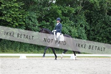 172073_mtp_01_3M5A3018.JPG