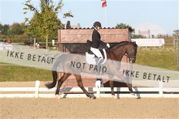 148862_sg_01_IMG_2378.JPG