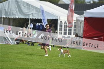 175267_bkn_01__JBR2498.JPG