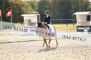 181894_mtp_02_R62_2106.JPG