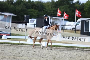 181894_mtp_05_R62_5067.JPG