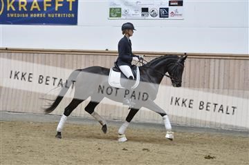 160111_nn_01__ESK2167.JPG