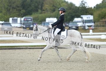 181894_mtp_05_R62_4166.JPG