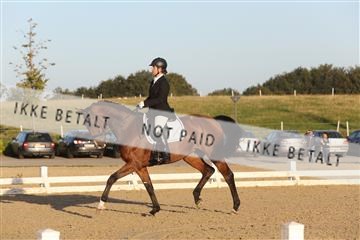 148862_sg_01_IMG_2137.JPG