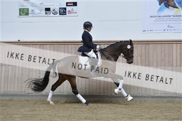 160111_nn_01__ESK1310.JPG
