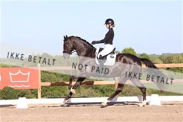 181449_bc_01R62_6360.JPG