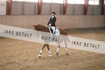 173782_mtp_01_3M5A6863.JPG
