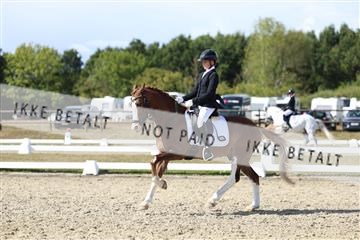 181894_mtp_05_R62_4881.JPG