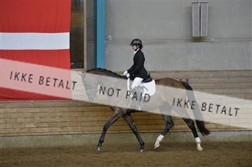 144288_abo_01__AB22696.JPG