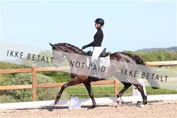181449_bc_01R62_6144.JPG