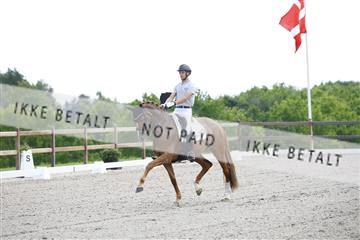 181449_kbb_02_6II0781.JPG