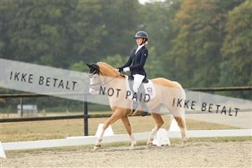 181894_mtp_04_R62_3551.JPG