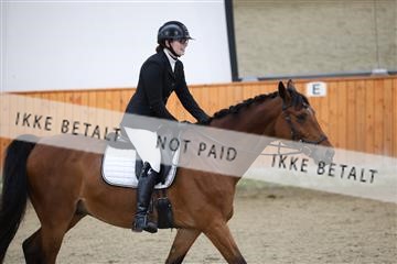 175681_avh_01_R62_1161.JPG