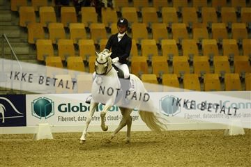 144963_ms_01__MG_9884.JPG
