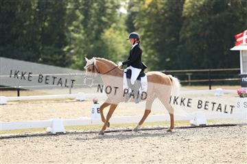 181894_mtp_02_R62_1920.JPG