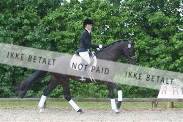 135518_ms_01_IMG_1342.JPG