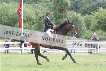 5925_ma_05_IMG_0737.JPG
