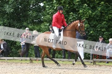 135518_ms_01_IMG_1449.JPG