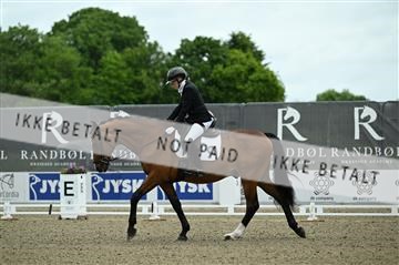 181449_kbb_03Z09_0158.JPG