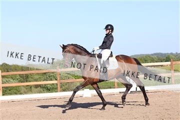 181449_bc_01R62_6324.JPG