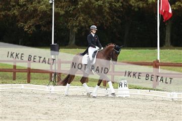 181923_mtp_03_R62_8002.JPG