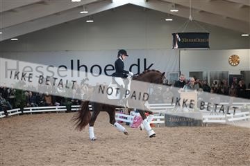 179022_kbb_01_R6II2548.JPG