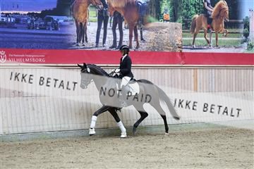181887_mtp_04_R62_8878.JPG