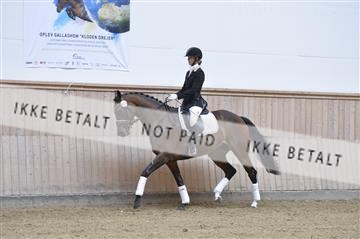 160111_nn_01__ESK1971.JPG