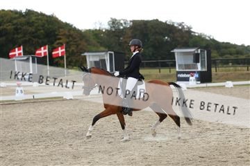181894_mtp_03_R62_2887.JPG