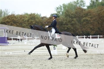 181923_mtp_03_R62_7850.JPG