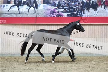 181887_mtp_03_R62_8085.JPG