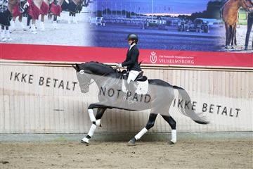 181887_mtp_02_R62_7660.JPG