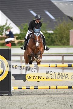 169152_abo_01_D05_0465.JPG