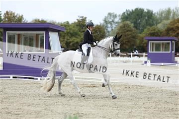 181923_mtp_04_R62_8393.JPG