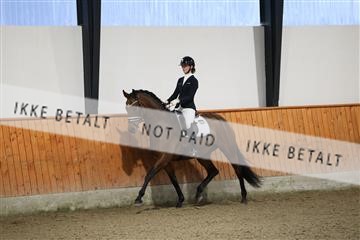 175681_avh_01_R62_1515.JPG