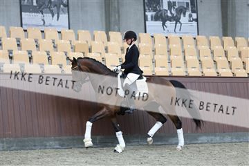 181852_mtp_02_R62_1790.JPG