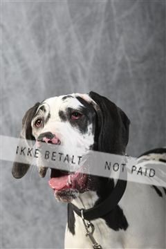 129608_le_ 01_0682.JPG