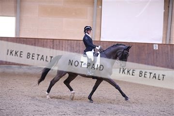 173821_mtp_01_3M5A9303.JPG