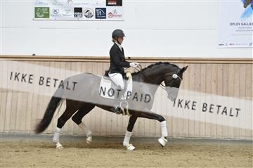 160111_nn_01__ESK2026.JPG