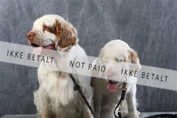 129608_le_ 01_0742.JPG