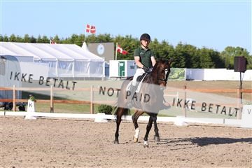 181449_bc_01R62_6438.JPG