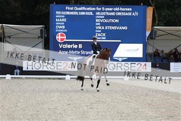 175139_bc_03_R62_4311.JPG