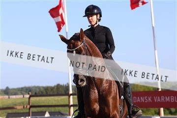 181449_bc_01R62_6419.JPG