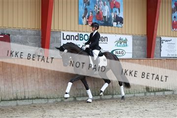 181867_mtp_02_R62_4828.JPG