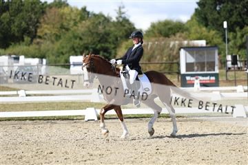 181894_mtp_05_R62_4868.JPG